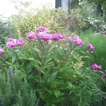 Les Blancarts Bed & Breakfast